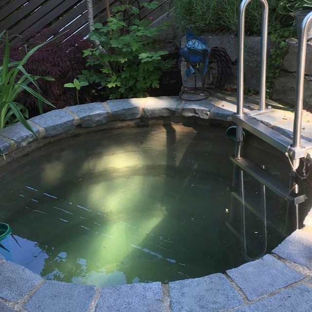 Schwimmteich mit Natursteinrand